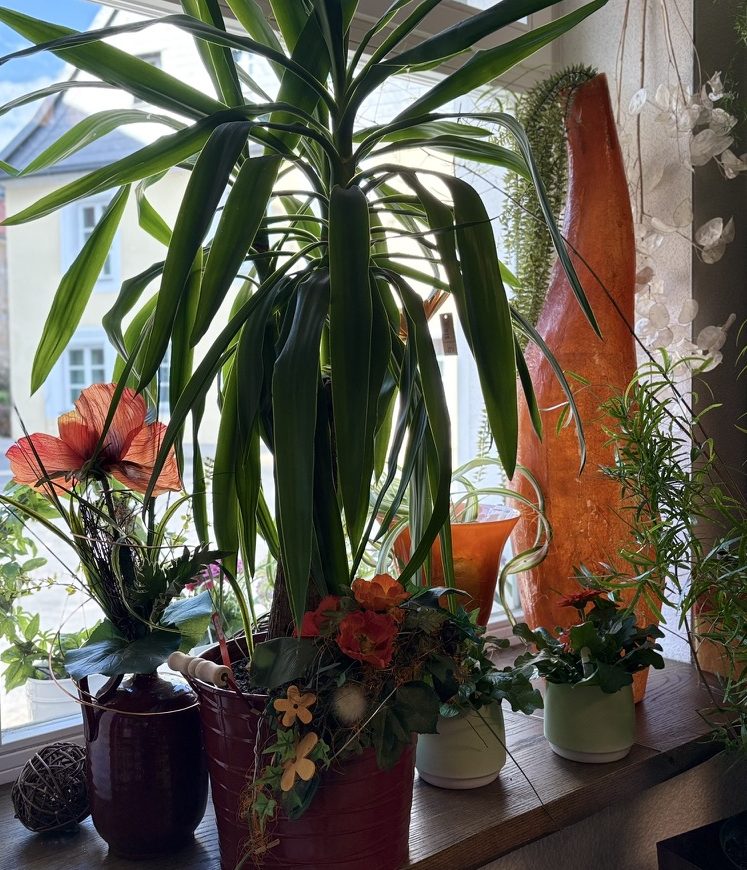 Schaufenster_Deko ©BlumenSturm