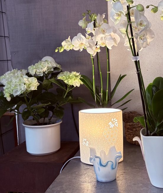 Orchideen @BlumenSturm